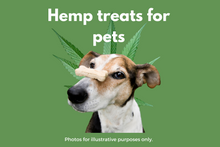 Load image into Gallery viewer, Hemp Box For People &amp; Pets

